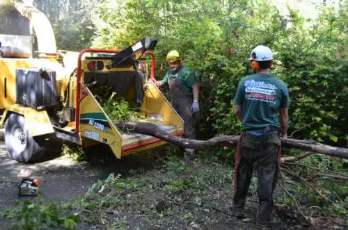 tree services Littleville